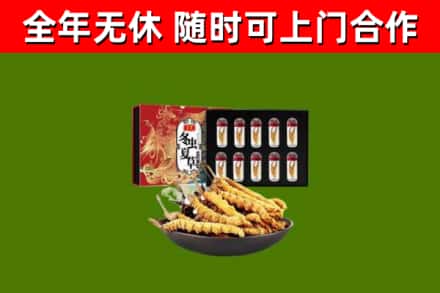 仙游回收冬虫夏草价格